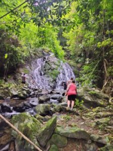 Khao Sok Jungle Tour