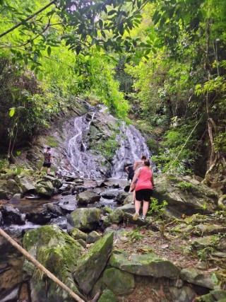 Khao Sok Jungle Tour